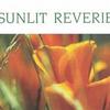 纯音乐 Sunrise 试听