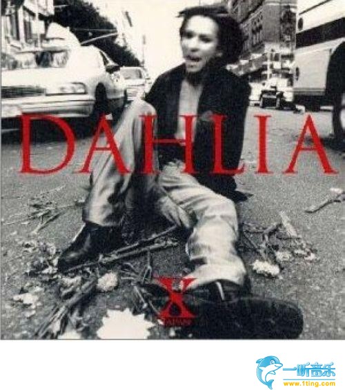 Dahlia