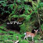 the ジブリ set详情