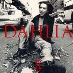 Dahlia详情
