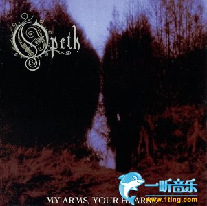 My Arms，Your Hearse