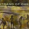 Strand Of Oaks Dogs of War 试听