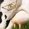 Aerosmith Intro 试听