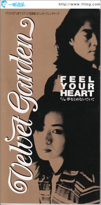 Feel Your Heart