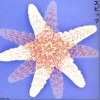 Spitz(スピッツ) ヒバリのこころ 试听