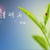 清明雨