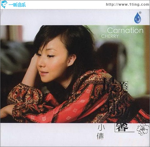 最美的康乃馨