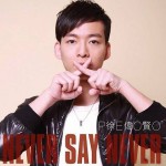 Never Say Never详情