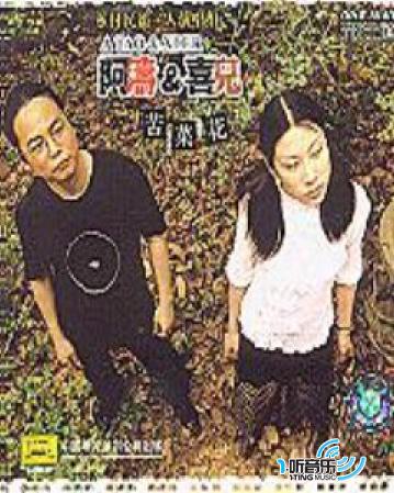 苦菜花