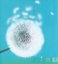 爱情蒲公英 Disc 2