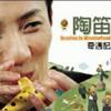 陶笛奇遇记