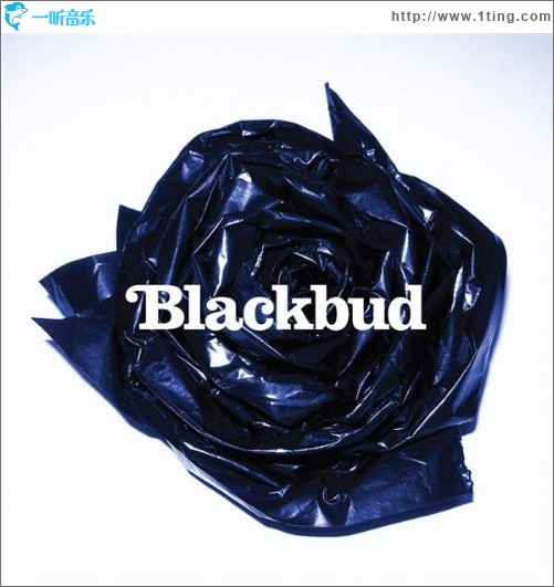 Blackbud