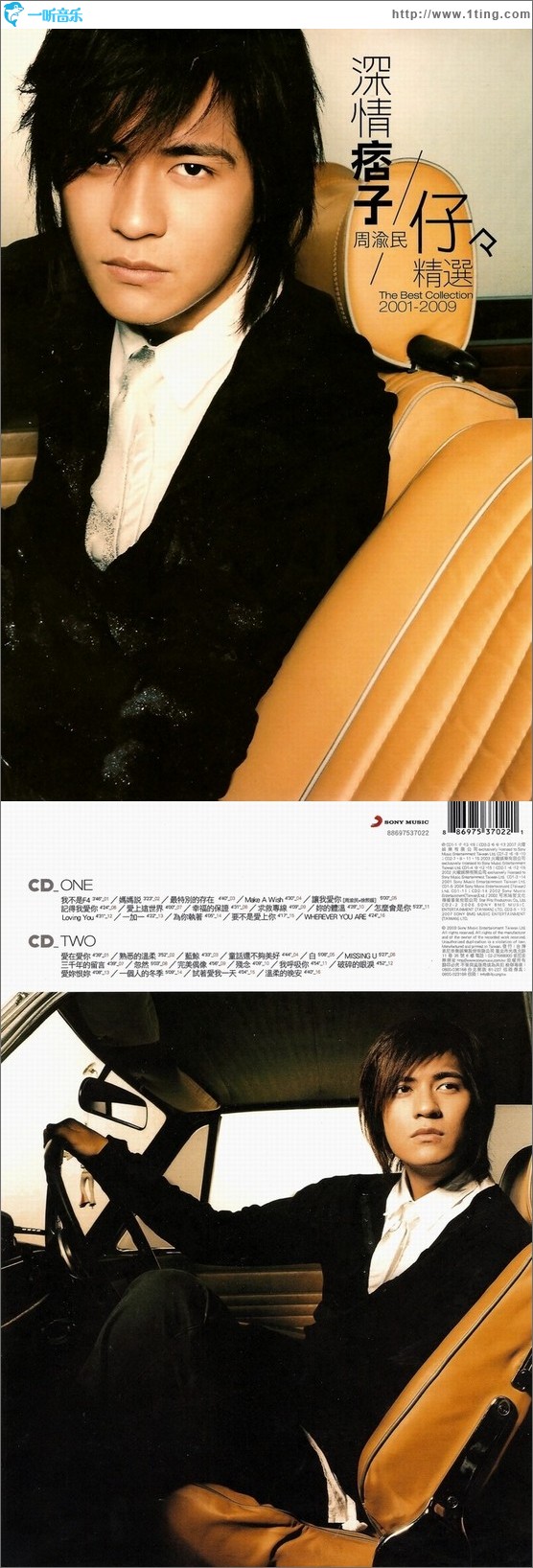 深情痞子 (仔仔精选 2001-2009)