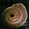929 Send Somebody to Hell 试听