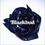 Blackbud详情