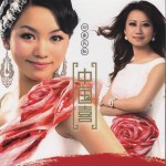 中国喜详情