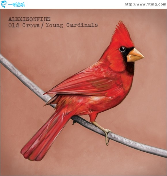 Old Crows / Young Cardinals