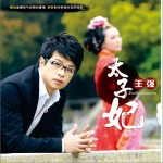 太子妃 (单曲)详情
