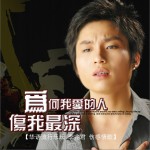 为何我爱的人伤我最深 (单曲)详情