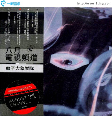 八月电视频道