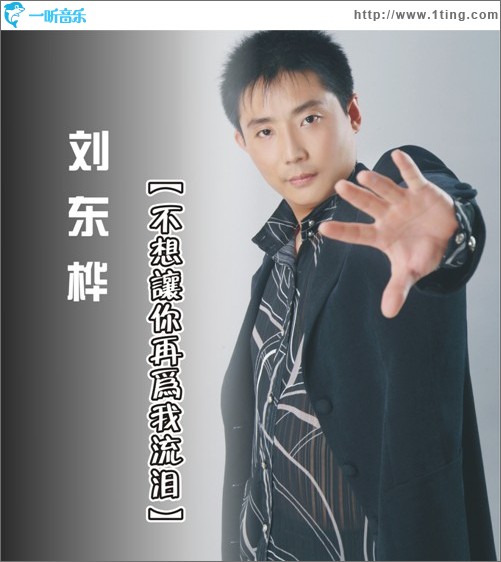 不想让你再为我流泪 (单曲)