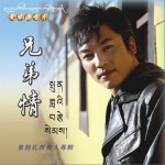 兄弟情 (单曲)详情