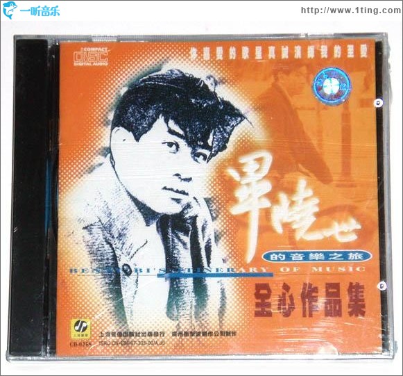 毕晓世的音乐之旅