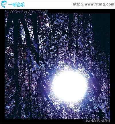 Luminous Night