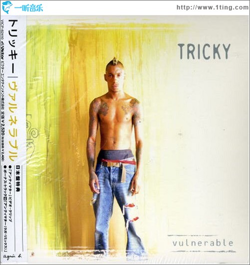 Vulnerable