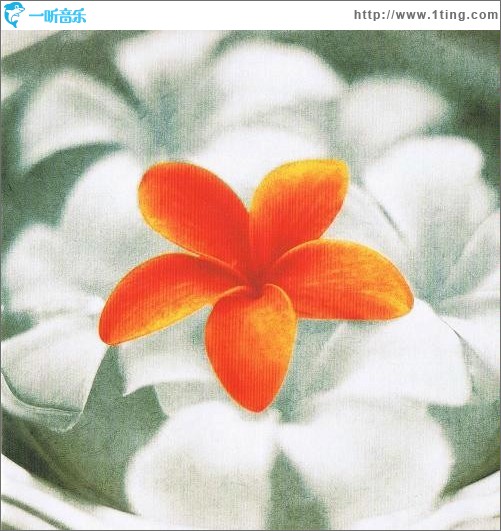 プルメリア~花唄~