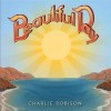 Charlie Robison Middle Of The Night 试听