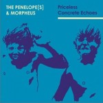 Priceless Concrete Echoes详情
