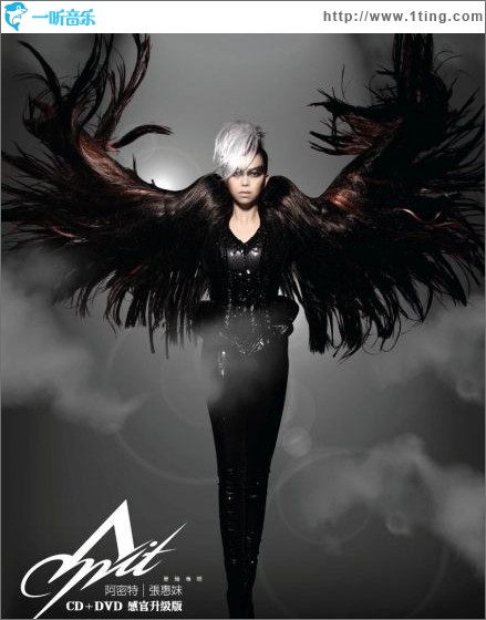 专辑封面阿密特感官升级版