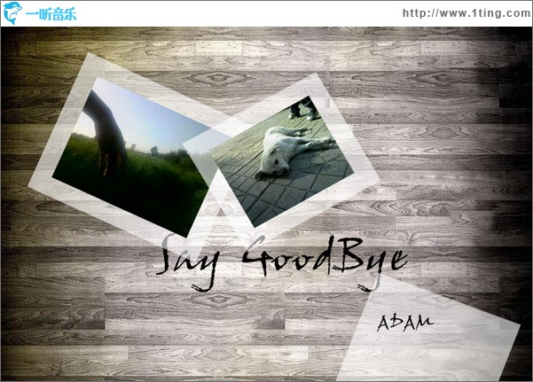 说再见 Say GoodBye