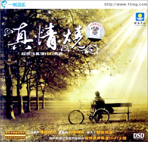 真情烧