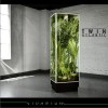 Twin Atlantic Light Speed 试听