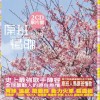 台湾杂锦合辑 可不可以爱我 - 卢学叡 试听
