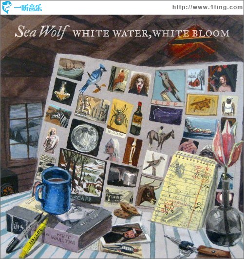 White Water White Bloom