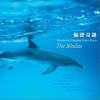 纯音乐 鲸艳 试听