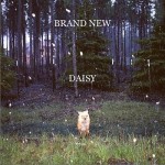 Daisy详情