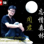 忘情森林(单曲)详情