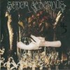 Sopor Aeternus The Inexperienced Spiral Traveller (A Fragment 2) 试听