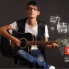 叶枫. 动情的眼泪 试听