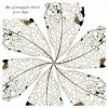 The Pineapple Thief We Love You 试听