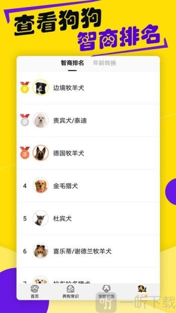 狗语翻译器