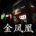 孙美琪疑案:金凤凰