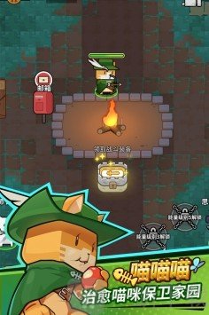 达猫小分队