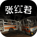 孙美琪疑案张红君