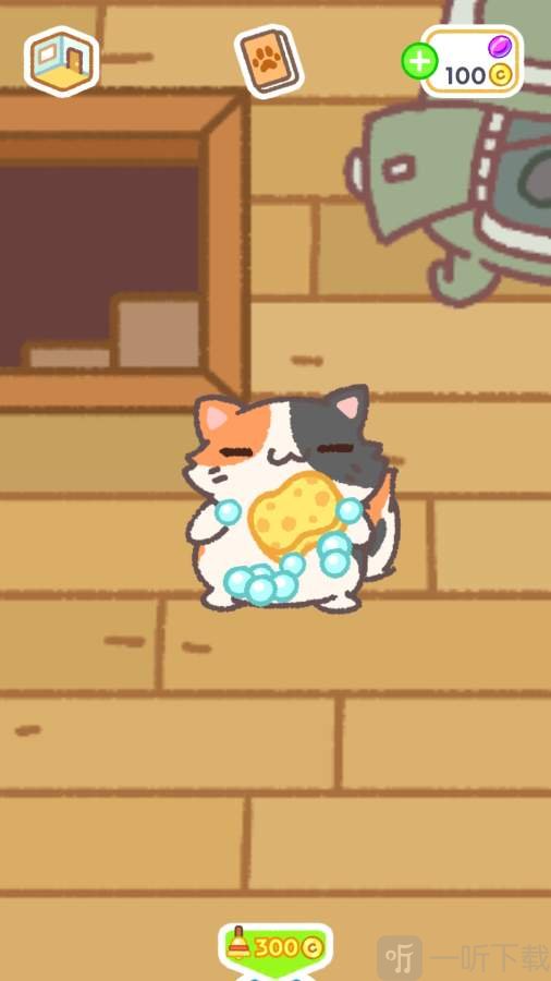 小偷猫2
