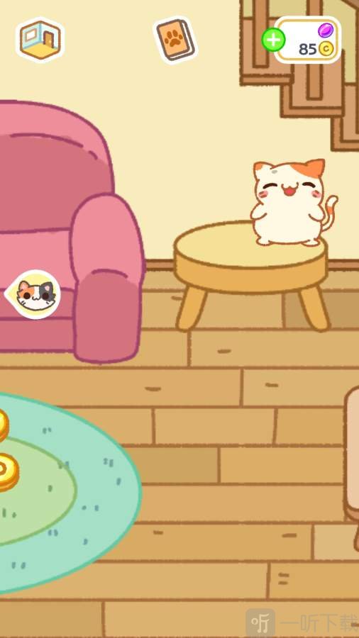 小偷猫2
